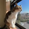 Moto's profile picture