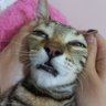 Profilbild von Taka Nome