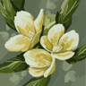 Estelar's profile picture