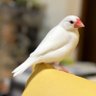 そとあそび's profile picture