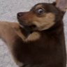 yoir Uncle's profile picture
