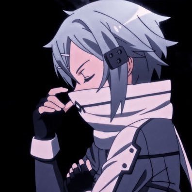 Zerpfnn's profile picture