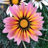Фото профиля Maria del Carmen Garcia Suarez