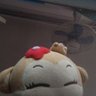 小小的 profil fotoğrafı