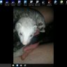 Bryan's profile picture