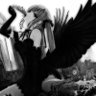angel's profile picture