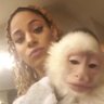 CoachBanksMonkey's profile picture