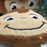 きゃべつ 的头像