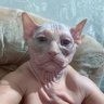 Profilbild von maldinisessuale