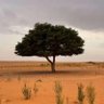 يوسِف الجهني 的头像