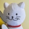 ^._.^チワたんたんノ profil fotoğrafı
