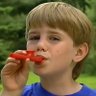 $KAZOO - Kazoo Kid CTO's profile picture