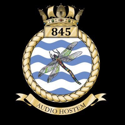 845 Naval Air Squadron's profile picture
