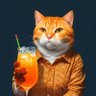 GatoCocktel ç倎å