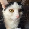 Pachou's profile picture