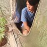 LuckyGrow's profile picture