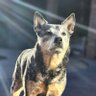 KodyX's profile picture