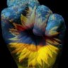 🇺🇸 🇺🇦 IAmTheLeopard ImpeachGolfyMcF*ckcheddar 的头像