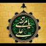 مرجان سادات حسینی's profile picture