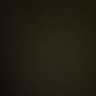 Vi's profile picture