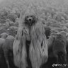 Profilbild von Isolated