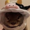 KaylChelay's profile picture