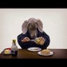 X Chequer 的头像