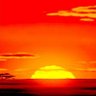 THE LION KING 1 1/2 RETOLD SUBMISSIONS STILL OPEN!'s profile picture
