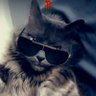 Фото профиля kaiden