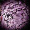 Profilbild von GrayMountain