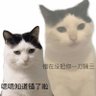 屎到淋头还想搅便 profil fotoğrafı