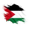 free Palestine 的头像