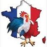Bernard DUPONT's profile picture