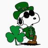 Shamrock☘️Cool 的头像
