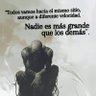 Jorge E. Peres's profile picture