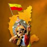 Vinay Raju's profile picture