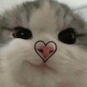 ʕ•ᴥ•ʔ⁵⁵⁵'s profile picture