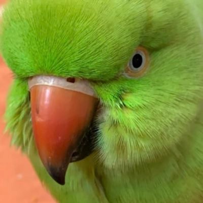masj649715's profile picture