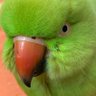 موضي بنت عبدالعزيز 🇸🇦 profil fotoğrafı