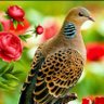 Фото профиля عـآبْـر طُـريَـق