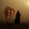 دَمِثَة 的头像
