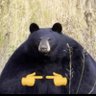 CM 2050 profil fotoğrafı