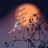 ام عبير profil fotoğrafı