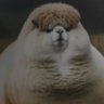 Dave king's profile picture