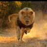 Eng.Bandar profil fotoğrafı