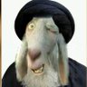 راوي عبد الهادي profil fotoğrafı