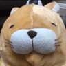 タヌキ 的头像