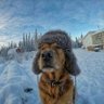 Profilbild von КОРОЛЬ КРЕВЕТОК