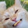 MoneyGame23's profile picture
