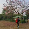 𝐴𝑛𝑢🐝 profil fotoğrafı